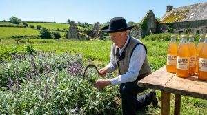découvrez l'unique producteur breton de jus d'exception, cultivé depuis l'antiquité. plongez dans l'histoire et les saveurs authentiques de cette plante millénaire.